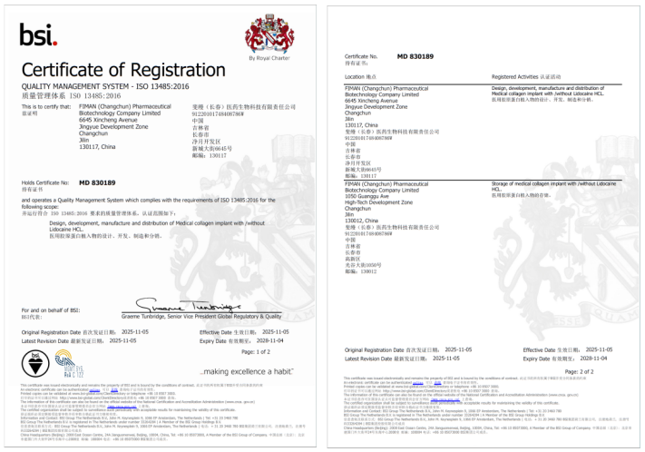 BSI ISO 13485:2016 Medical Device Quality Management System