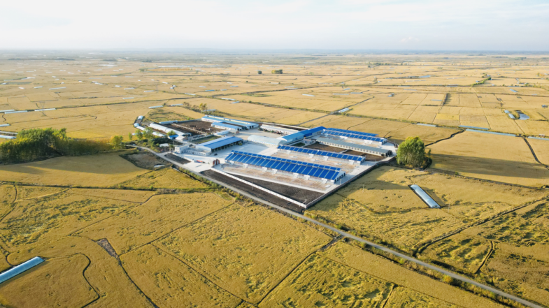 FIMAN Nehe Medical-Grade Cattle Base